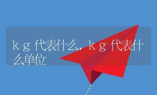 kg代表什么,kg代表什么单位 | 宠物百科知识