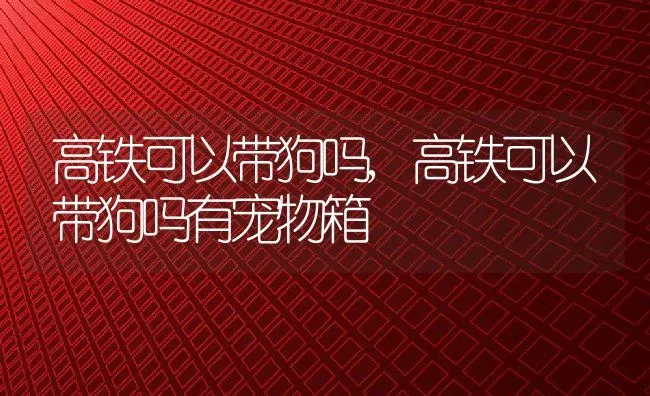 高铁可以带狗吗,高铁可以带狗吗有宠物箱 | 宠物百科知识