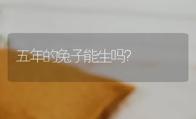 五年的兔子能生吗？ | 动物养殖问答