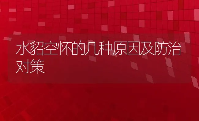 颗粒饲料喂鱼要点 | 海水养殖技术