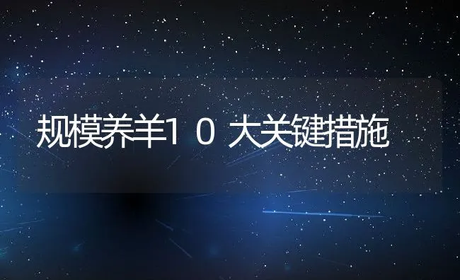 规模养羊10大关键措施 | 动物养殖学堂