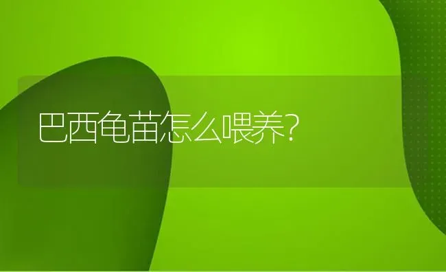 楼房上养德牧有什么缺点，坏处，怎么训练他不叫？ | 动物养殖问答