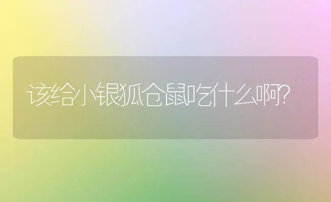 我家小猫4个月了，最近就是老打喷嚏，我想问问大家吃点什么药好啊？ | 动物养殖问答