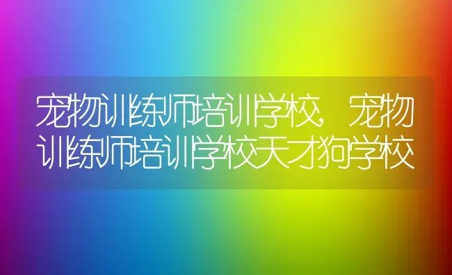 宠物训练师培训学校,宠物训练师培训学校天才狗学校 | 宠物百科知识