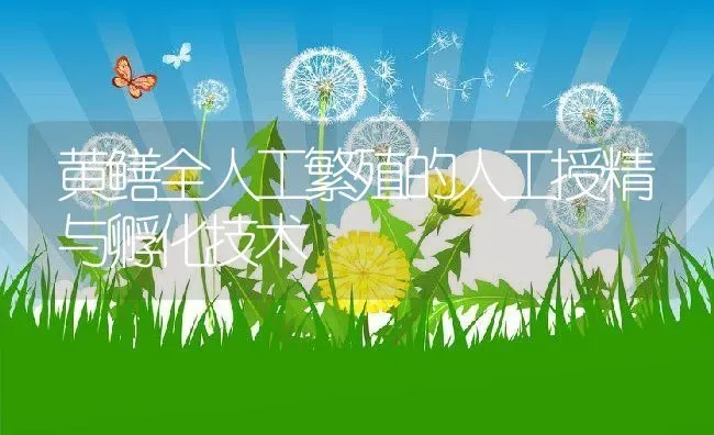 黄鳝全人工繁殖的人工授精与孵化技术 | 动物养殖教程