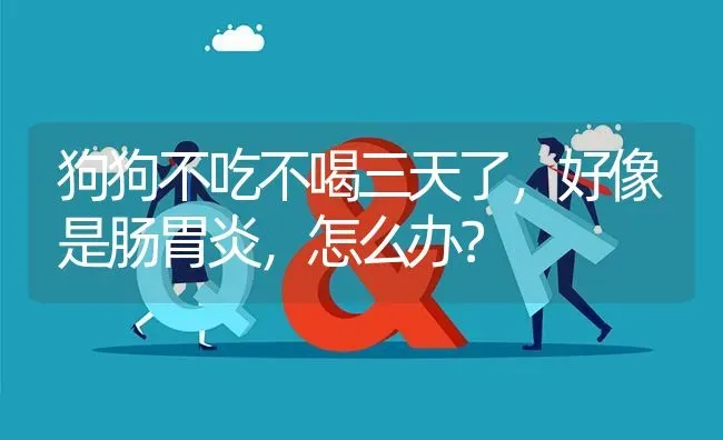 狗狗不吃不喝三天了，好像是肠胃炎，怎么办？ | 动物养殖问答