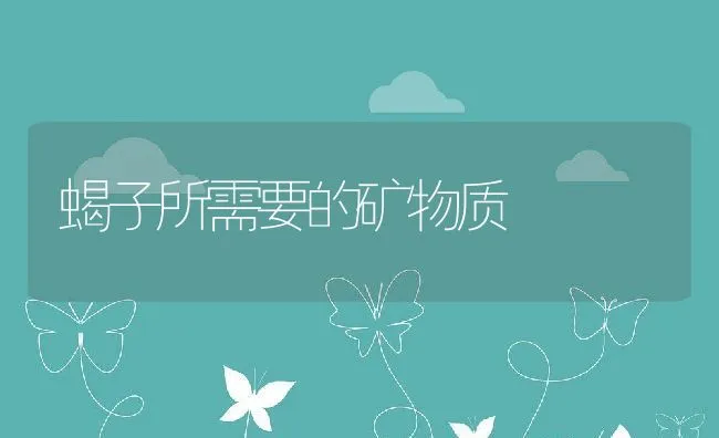 蝎子所需要的矿物质 | 水产养殖知识