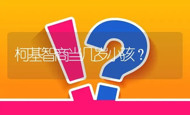 柯基智商当几岁小孩？ | 动物养殖问答