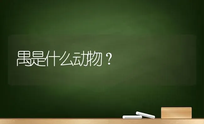 禺是什么动物？ | 动物养殖问答