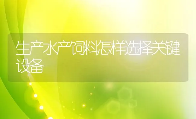 黄沙鳖养殖技术之侵袭性疾病防治 | 动物养殖学堂