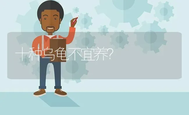 十种乌龟不宜养？ | 动物养殖问答