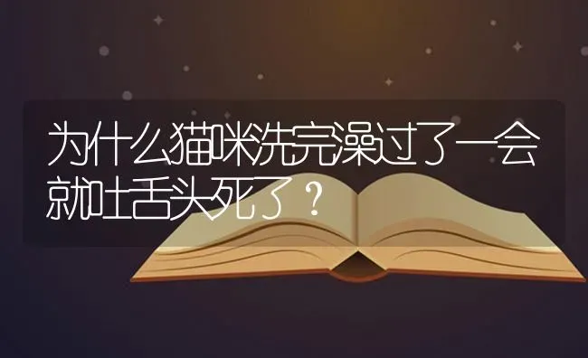 为什么猫咪洗完澡过了一会就吐舌头死了？ | 动物养殖问答