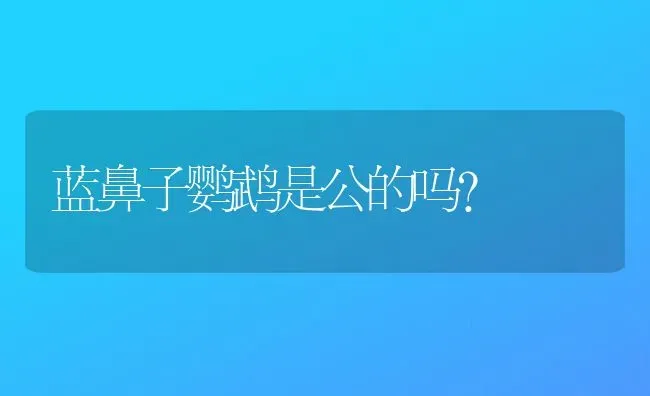 蓝鼻子鹦鹉是公的吗？ | 动物养殖问答