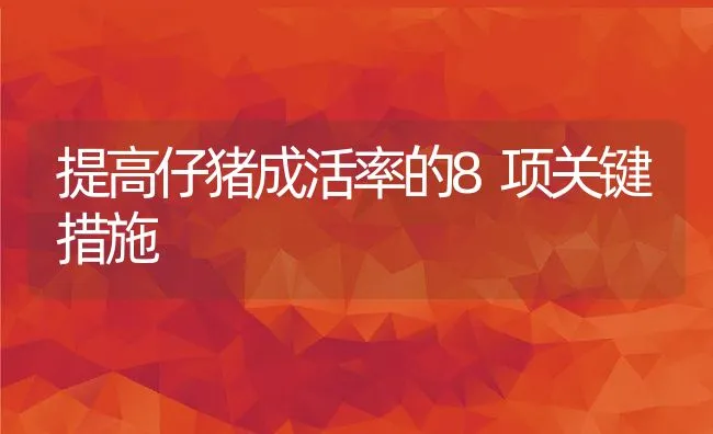 提高仔猪成活率的8项关键措施 | 动物养殖饲料