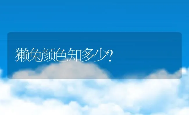 獭兔颜色知多少？ | 动物养殖饲料