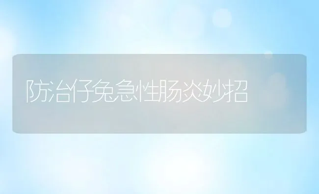 防治仔兔急性肠炎妙招 | 动物养殖学堂