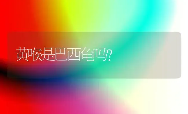 黄喉是巴西龟吗？ | 动物养殖问答