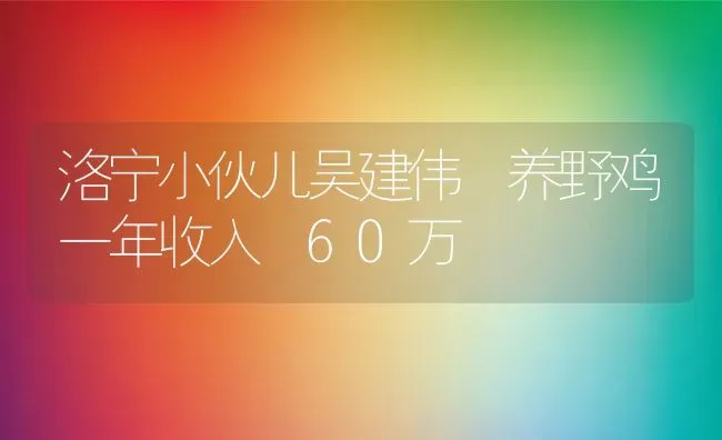 乌鸡高效的养殖技术技巧分享 | 动物养殖教程