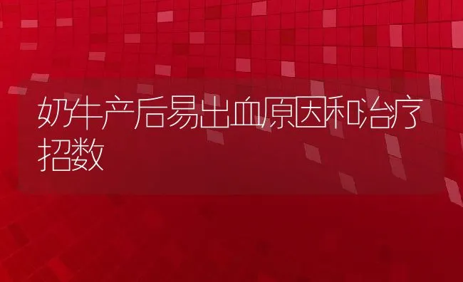 奶牛产后易出血原因和治疗招数 | 动物养殖学堂