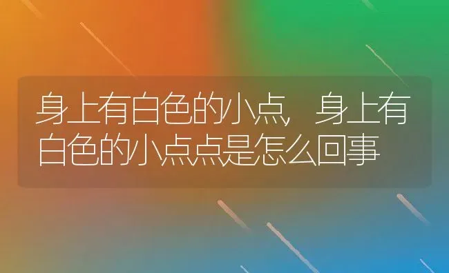 身上有白色的小点,身上有白色的小点点是怎么回事 | 宠物百科知识