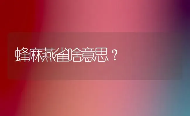 蜂麻燕雀啥意思？ | 动物养殖问答