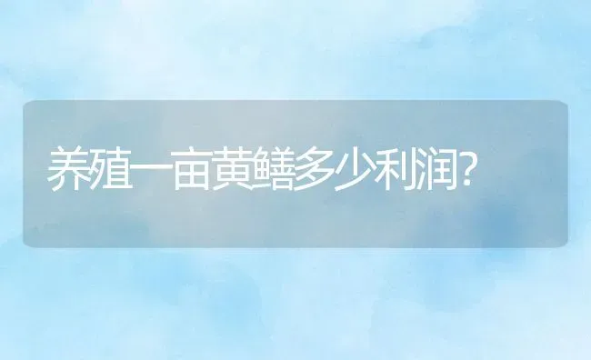 养殖一亩黄鳝多少利润？ | 动物养殖百科