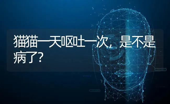 白鼻子，白蹄，白尾巴狗好吗？ | 动物养殖问答