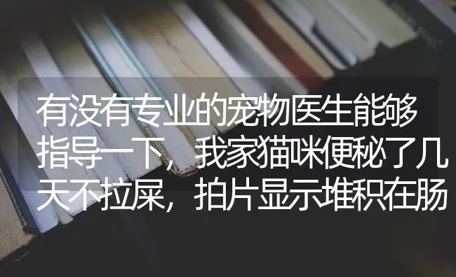 有没有专业的宠物医生能够指导一下，我家猫咪便秘了几天不拉屎，拍片显示堆积在肠道，怎样可以治好？ | 动物养殖问答