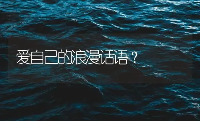 爱自己的浪漫话语？ | 鱼类宠物饲养