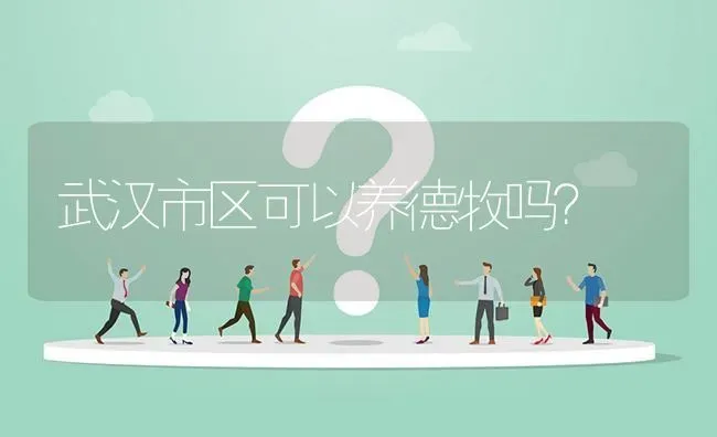 武汉市区可以养德牧吗？ | 动物养殖问答