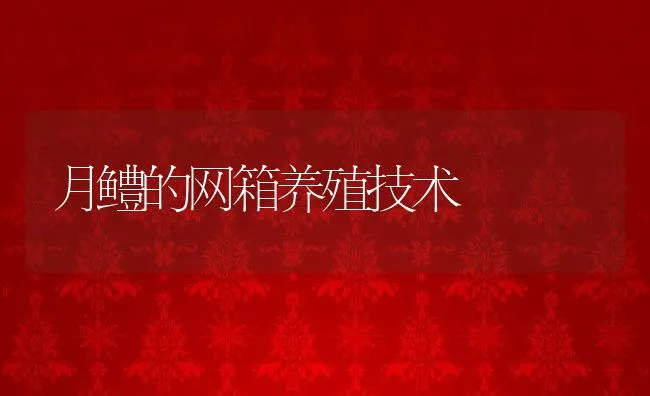 大眼狮鲈人工养殖技术 | 海水养殖技术