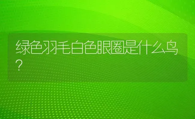 绿色羽毛白色眼圈是什么鸟？ | 动物养殖问答