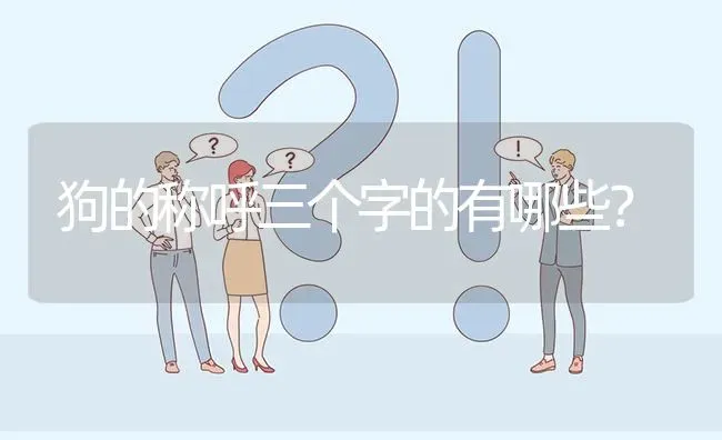 狗的称呼三个字的有哪些？ | 动物养殖问答