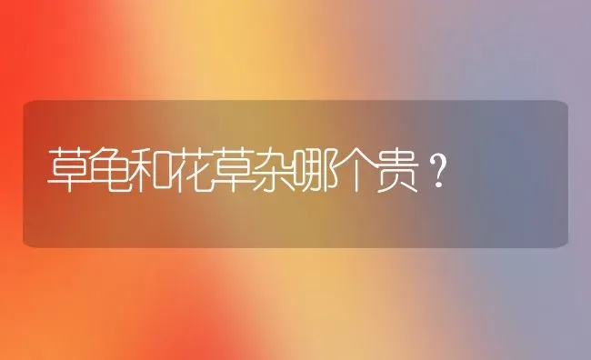 进口猫粮什么牌子好呢？ | 动物养殖问答