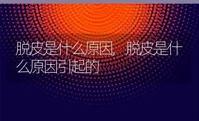 脱皮是什么原因,脱皮是什么原因引起的 | 宠物百科知识