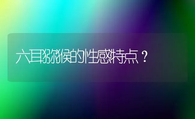 六耳猕猴的性感特点？ | 动物养殖问答