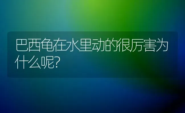 巴西龟在水里动的很厉害为什么呢？ | 动物养殖问答