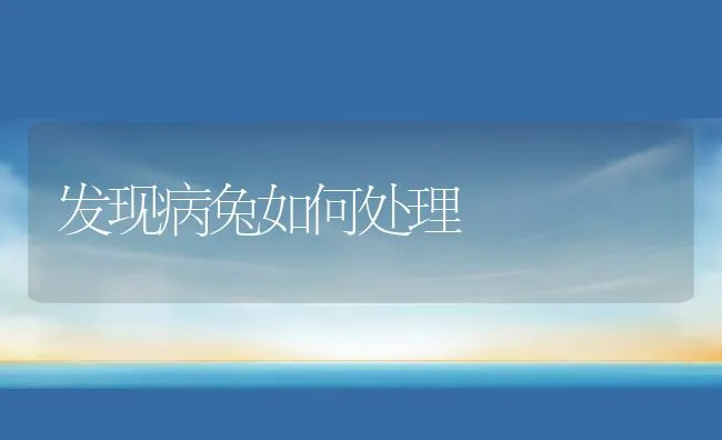 果园养兔的技术措施 | 水产养殖知识