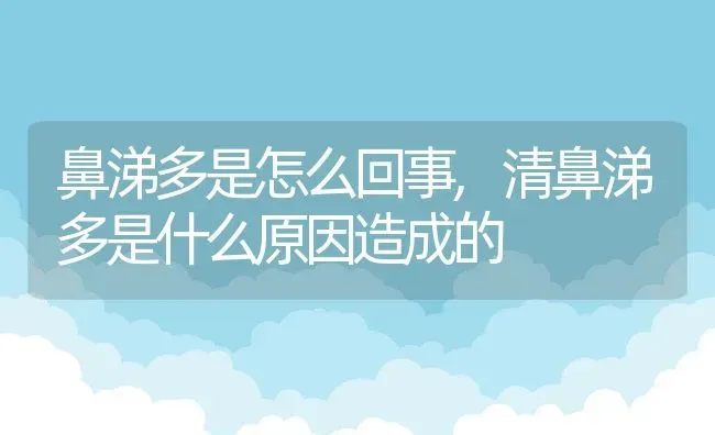 鼻涕多是怎么回事,清鼻涕多是什么原因造成的 | 宠物百科知识