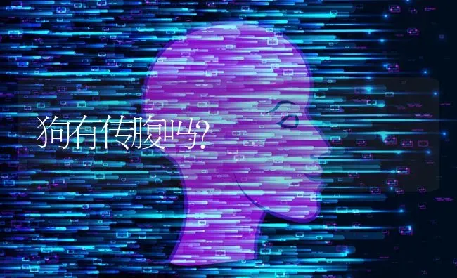 狗有传腹吗？ | 动物养殖问答