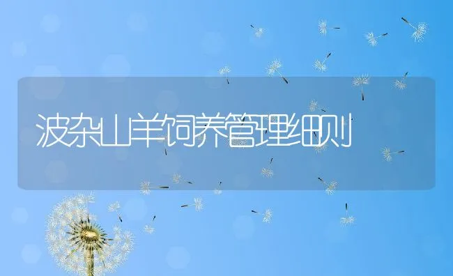 波杂山羊饲养管理细则 | 动物养殖学堂