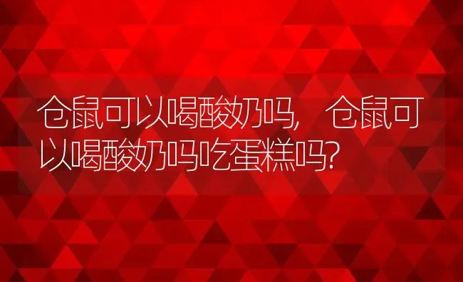 仓鼠可以喝酸奶吗,仓鼠可以喝酸奶吗吃蛋糕吗? | 宠物百科知识