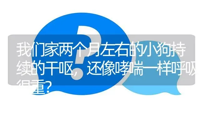 我们家两个月左右的小狗持续的干呕，还像哮喘一样呼吸很重？ | 动物养殖问答