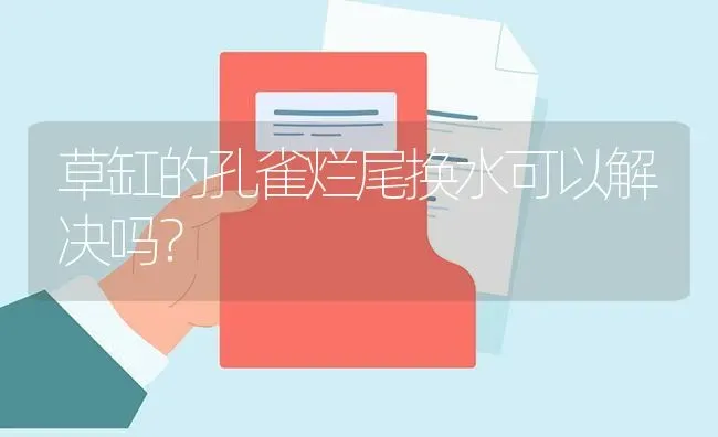 草缸的孔雀烂尾换水可以解决吗？ | 鱼类宠物饲养