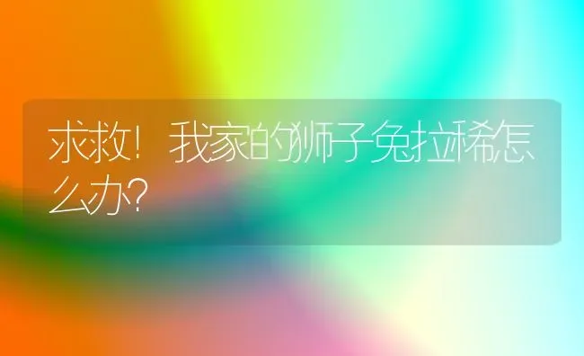 求救！我家的狮子兔拉稀怎么办？ | 动物养殖问答