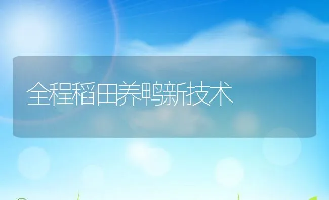 全程稻田养鸭新技术 | 动物养殖饲料