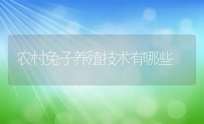 农村兔子养殖技术有哪些 | 动物养殖百科