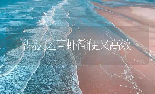 干湿法运青虾简便又高效 | 海水养殖技术