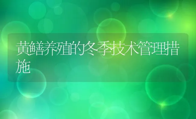 黄鳝养殖的冬季技术管理措施 | 动物养殖饲料