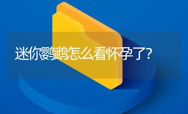 迷你鹦鹉怎么看怀孕了？ | 鱼类宠物饲养